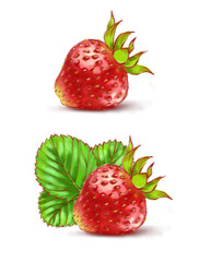Hand drawn watercolor illustration of the different tasty red strawberry isolated on the white background.
