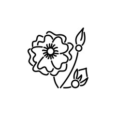 Black & white vector illustration of ground cover rose flower. Line icon of ornamental floral plant. Gardening & landscaping shrub, bush. Isolated object