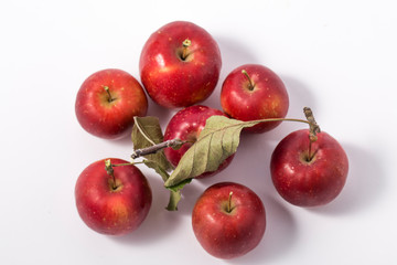 Small apple with green leaf on white background. ranetka