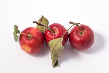 Small apple with green leaf on white background. ranetka
