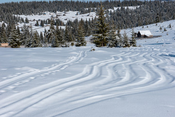 Ski tracks in powder snow