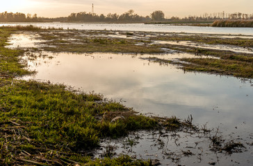 Marshy part of the Dutch National Park De Biesbosch during sunset. The sky reflects in the smooth water surface in pastel tones. In the background are high voltage lines and power pylons just visible.