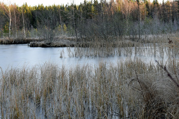 Frozen lake on November in Southern Finland.