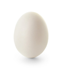 Raw chicken egg on white background