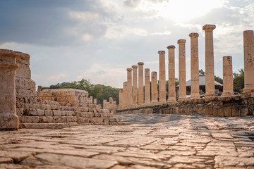 Fototapeta na wymiar ancient street and columns in archaeological site Scythopolis, Beit Shean National Park, Jordan Valley, Israel. Ruins of the roman period