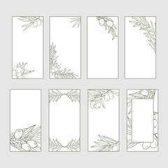 Set of olive branch oil label. Invitation rectangular botanical frame. Vector isolated illustration.