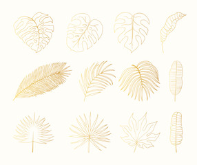 Hand drawn golden tropical rainforest leaves. Aralia, monstera, banana, palm leaf botanical gold leaf. Vector isolated illustration.