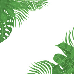 Hand drawn green tropical leaves weddiing frame. Aralia, monstera, banana, coconut leaf invitation card border. Vector isolated illustration.