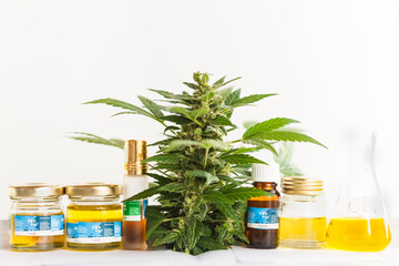 marijuana medical cannabis cbd product oil