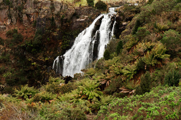 Obraz premium Beautiful Waratah Falls in Waratah, Tasmania.