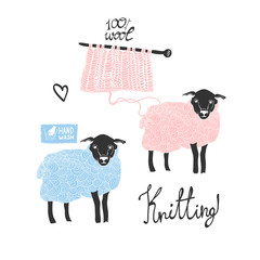 Hand drawn sheep and yarn. Colored graphic vector set