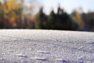 Sparkling rime frost on the ground and the natural background of the forest.
