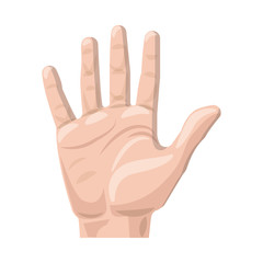 Isolated object of human and part logo. Set of human and woman stock vector illustration.