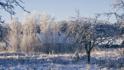 Frost fell on the village courtyard.
