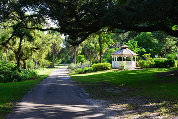 Obraz premium Park land in Florida, America