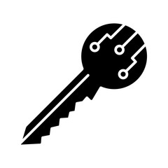 Private digital key glyph icon