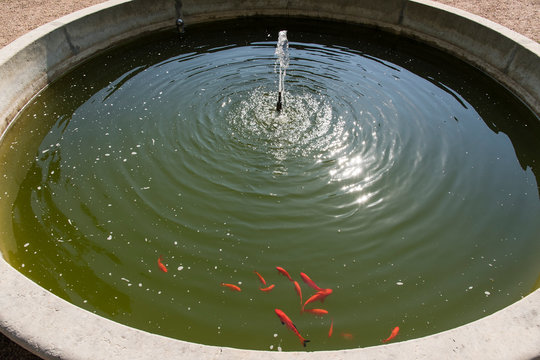 Small fountain circular with fish. © lapis2380