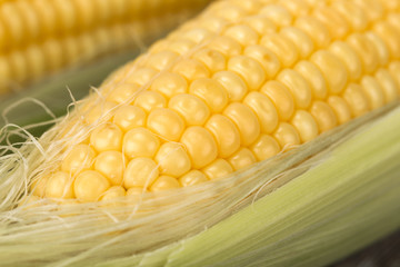 Fresh corn on cobs on rustic wooden table, closeup