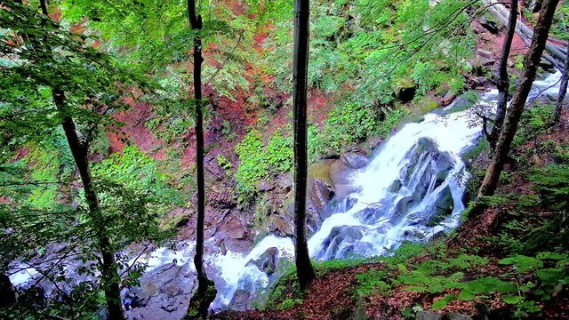 The tall trees of the mountain woodland hides the Shypit (Shepit) waterfall of Pylypets river, Volovets region, Ukraine. 
