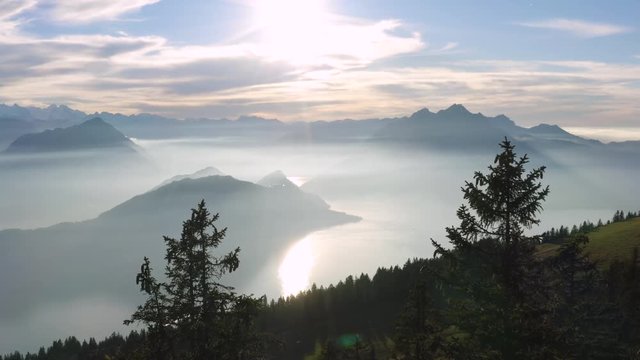 flying between two pine trees with stunning mountain scenery, fog covered mountain with lake sunny sunset, rigi switzerland
