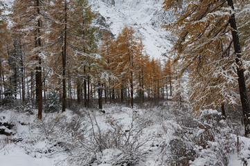 Altai mountains