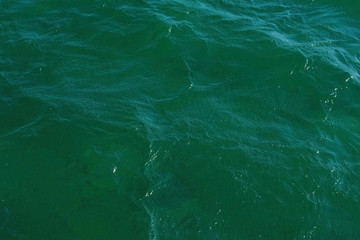 Green clear see water with very small waves.