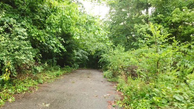 Spotting the dead end in on the trail