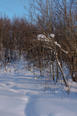 The Ice of Lake Baikal, Russia Mar 2018