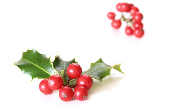Christmas holly with red berries. Traditional festive decoration. Holly branch with red berries on white table background. Flat lay, top view.Blurred.