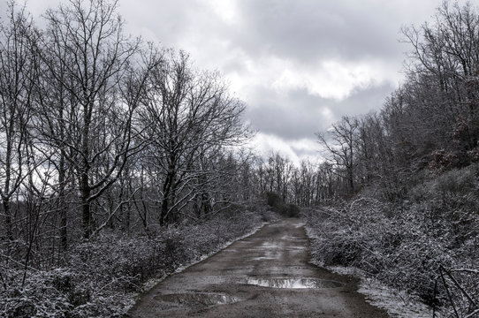 Sendero en otoño