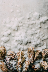 top view of arrangement of oysters and ice on grey surface