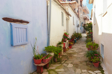 Fototapeta na wymiar Empty street at the nice and comfortable great garden under lovely blue sky