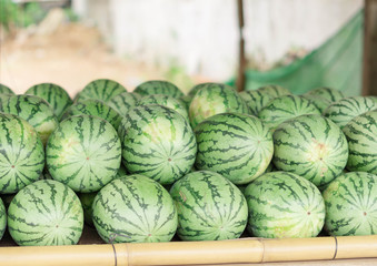 Many big sweet green watermelons and one cut watermelon