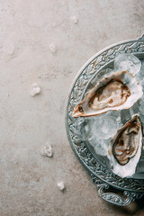 top view of oysters with ice on metal tray on grey tabletop