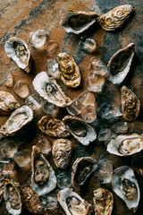 top view of arranged ice cubes and oysters on grungy surface