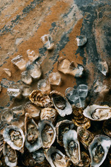 top view of arranged ice cubes and oysters on grungy surface