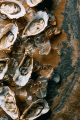top view of oysters and ice cubes on grungy surface