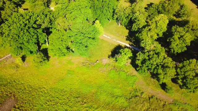Backwards view of the muddy pond in the woods