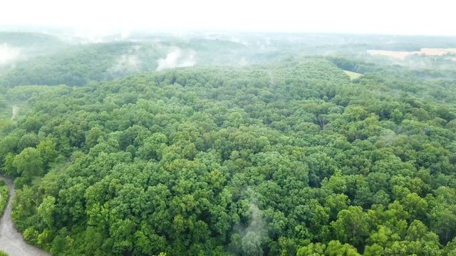 Skyview of the steam rising through the trees on the mountain