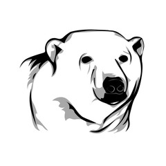 Polar Bear. Vector illustration.