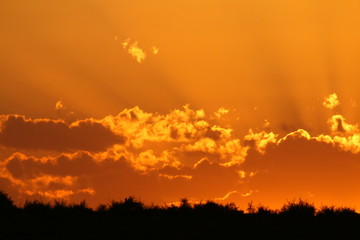 Fototapeta premium Sky on fire with orange clouds and crepuscular rays.