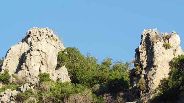 Mountain landscape, white rocks with green trees. The Taygetus mountains in Greece Peloponnese, Europe
