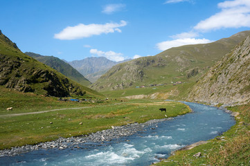 Fototapeta na wymiar river stream in the mountains
