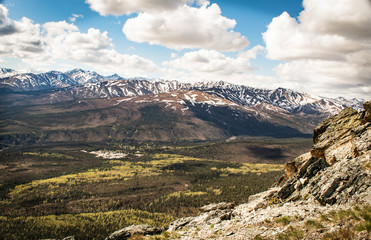 View from Mt Healy in Denali National Park Alaska