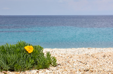 Concept of travel and active lifestyle. Stone beach and warm sea. Bright yellow colors on a sunny day. Greece Europe