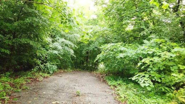 Reaching the dead end on a path in the woods
