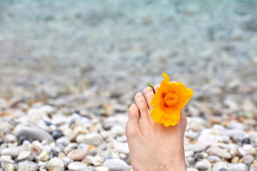 Concept of travel and active lifestyle. Stone beach and warm sea. Bright yellow colors on a sunny day. Greece Europe