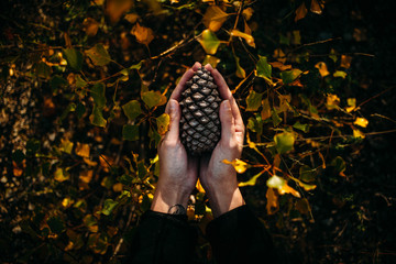 Mujer sujetando piña de pino otoñal