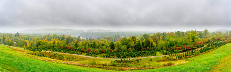 Fall Colors outside Limerick, Maine