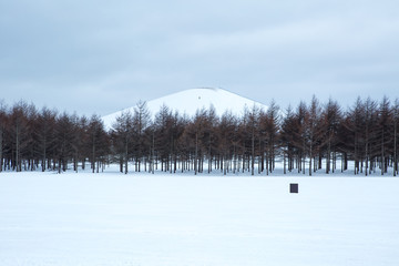 冬の雪山と森(公園)